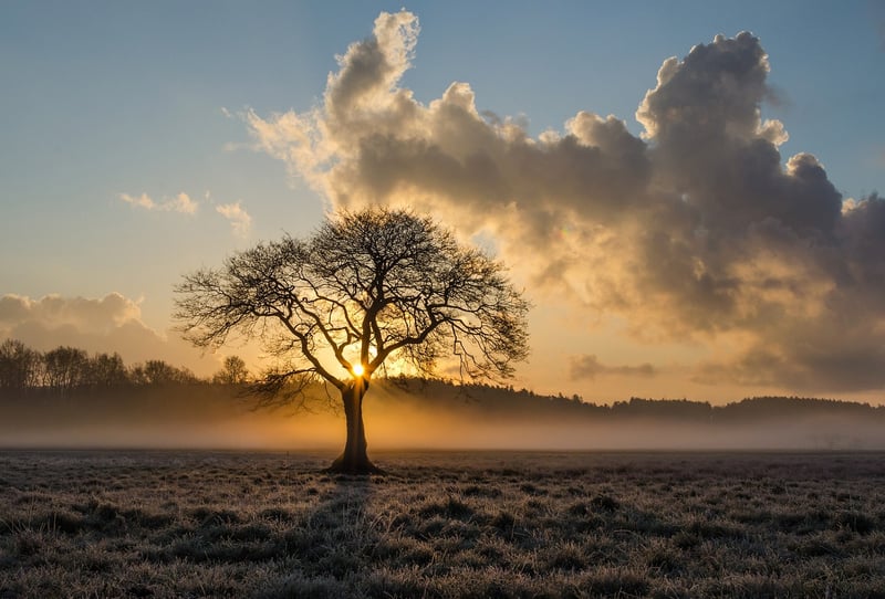 Silhouette revealing hidden truths
